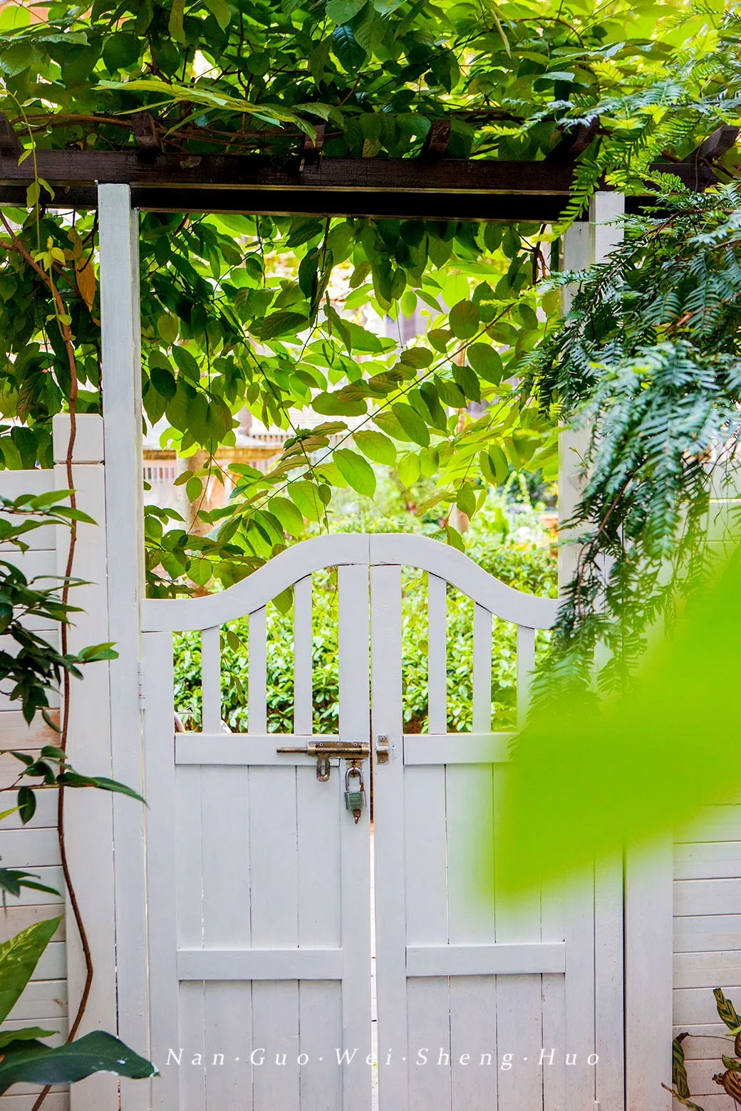 种花、种菜，和最好的姐妹做邻居，她们的都市田园生活太让人羡慕休闲区蓝鸢梦想 - Www.slyday.coM