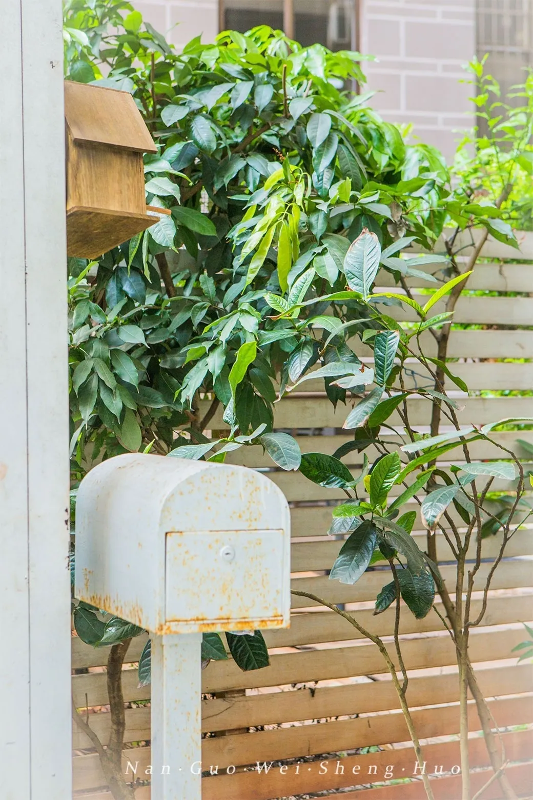 种花、种菜，和最好的姐妹做邻居，她们的都市田园生活太让人羡慕休闲区蓝鸢梦想 - Www.slyday.coM
