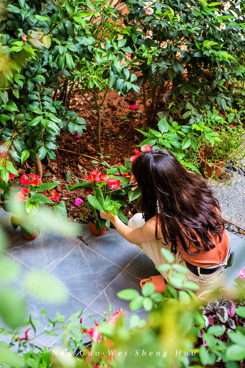 种花、种菜，和最好的姐妹做邻居，她们的都市田园生活太让人羡慕休闲区蓝鸢梦想 - Www.slyday.coM