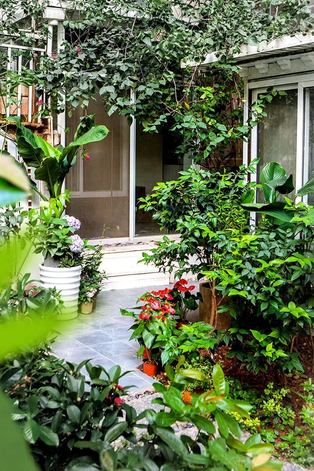 种花、种菜，和最好的姐妹做邻居，她们的都市田园生活太让人羡慕休闲区蓝鸢梦想 - Www.slyday.coM