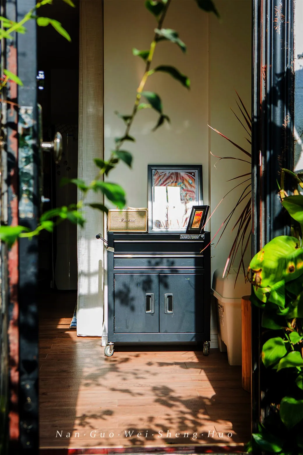 种花、种菜，和最好的姐妹做邻居，她们的都市田园生活太让人羡慕休闲区蓝鸢梦想 - Www.slyday.coM