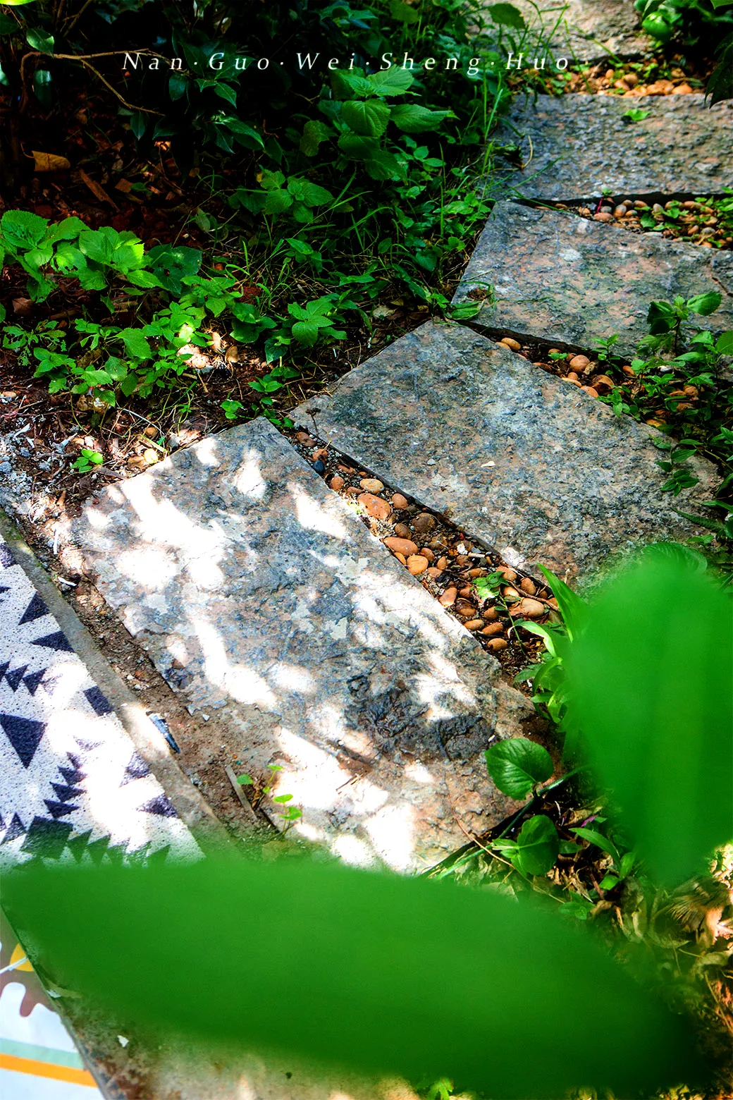 种花、种菜，和最好的姐妹做邻居，她们的都市田园生活太让人羡慕休闲区蓝鸢梦想 - Www.slyday.coM