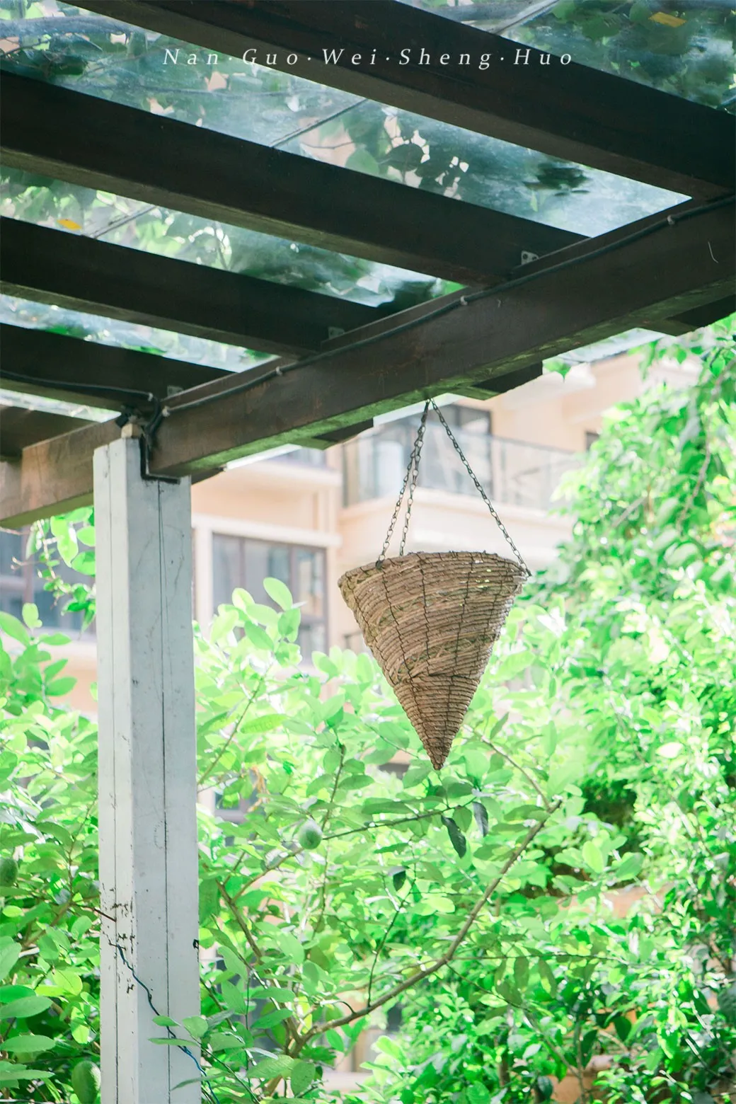 种花、种菜，和最好的姐妹做邻居，她们的都市田园生活太让人羡慕休闲区蓝鸢梦想 - Www.slyday.coM