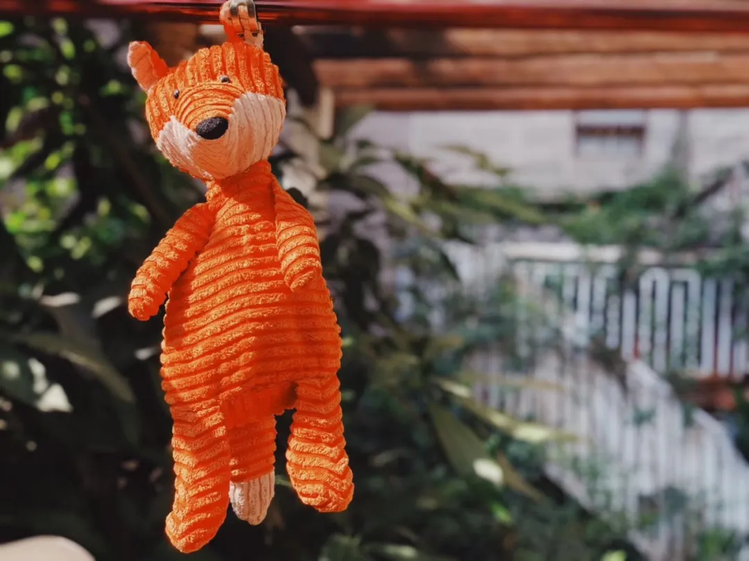 种花、种菜，和最好的姐妹做邻居，她们的都市田园生活太让人羡慕休闲区蓝鸢梦想 - Www.slyday.coM