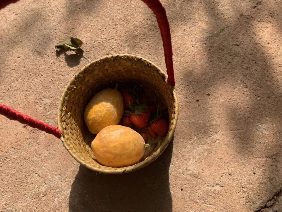 种花、种菜，和最好的姐妹做邻居，她们的都市田园生活太让人羡慕休闲区蓝鸢梦想 - Www.slyday.coM