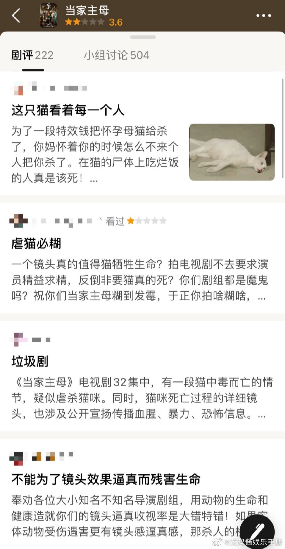 《当家主母》因猫咪被毒死画面逼真性……休闲区蓝鸢梦想 - Www.slyday.coM