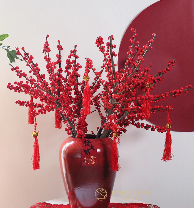 冬季盆栽新宠北美冬青养护好4点枝头挂满红果果