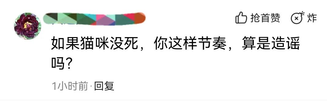 《当家主母》评分跌至3.4，蒋勤勤回应猫中毒争议，却被群嘲休闲区蓝鸢梦想 - Www.slyday.coM