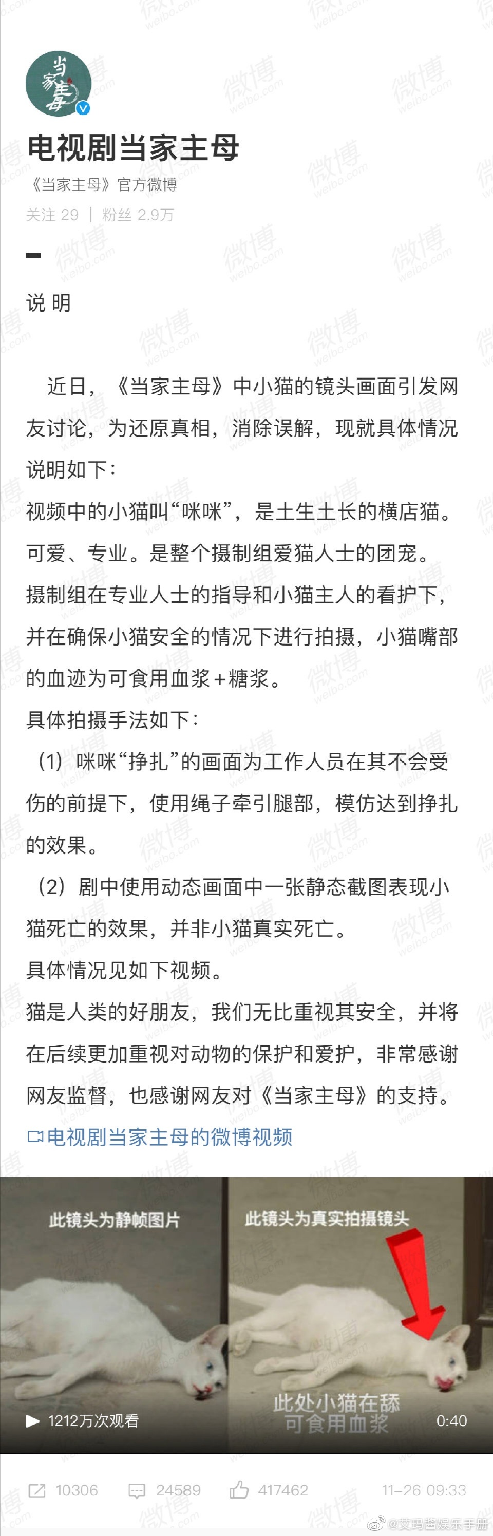 《当家主母》因猫咪被毒死画面逼真性……休闲区蓝鸢梦想 - Www.slyday.coM