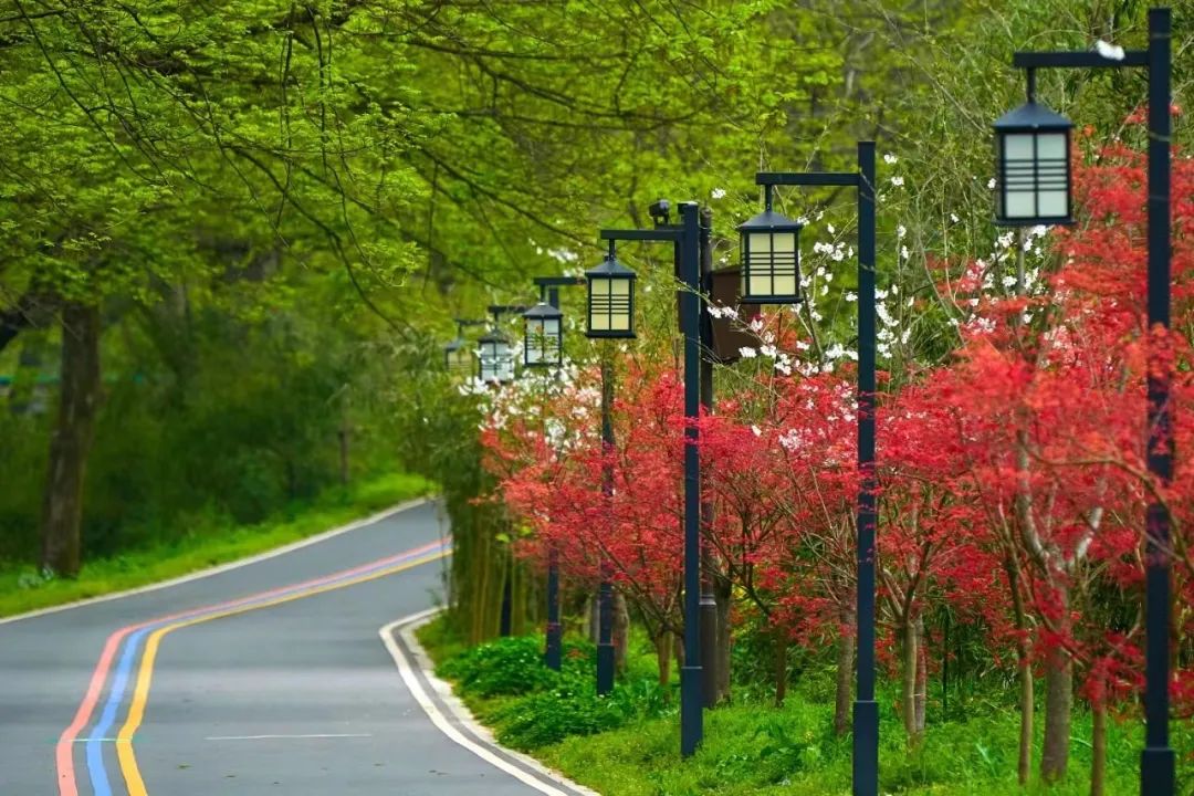 缙云仙都风情绿道