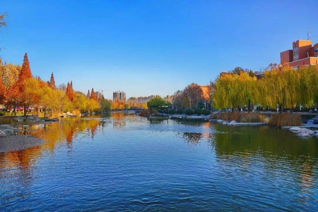 金水区又一次登上全国榜单!|郑州市|河南省_新浪新闻