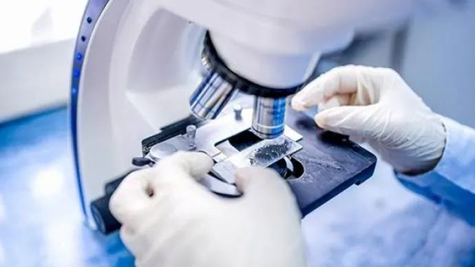 【1024·关注】香港新增3例新冠病毒新变种确诊病例休闲区蓝鸢梦想 - Www.slyday.coM