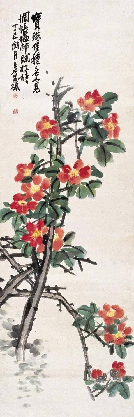 鉴赏| 名家笔下的写意山茶花|山茶花|写意|茶花_新浪新闻