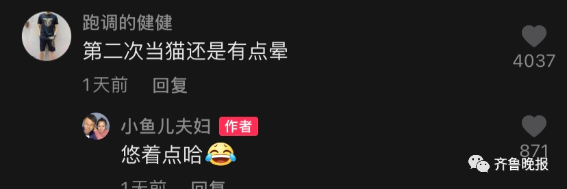 沉浸式的猫咪视角！山东农村有多绝？休闲区蓝鸢梦想 - Www.slyday.coM