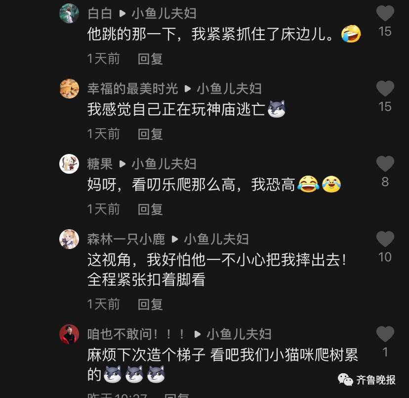 沉浸式的猫咪视角！山东农村有多绝？休闲区蓝鸢梦想 - Www.slyday.coM