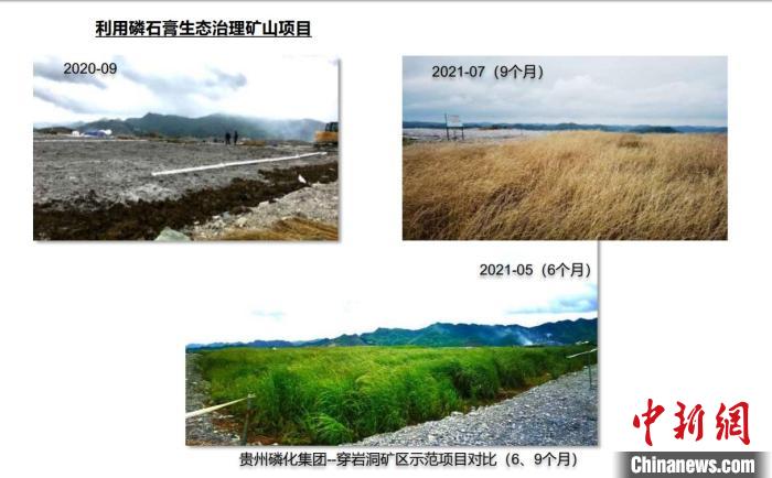 贵州磷化集团--穿岩洞矿区利用磷石膏生态治理矿山对比图。　受访者供图