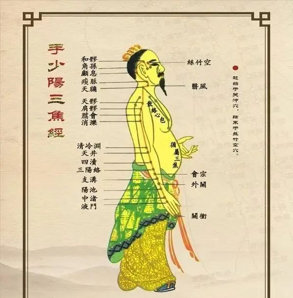 三焦经,人体的出气筒,女人的"美容经"|中医_新浪新闻