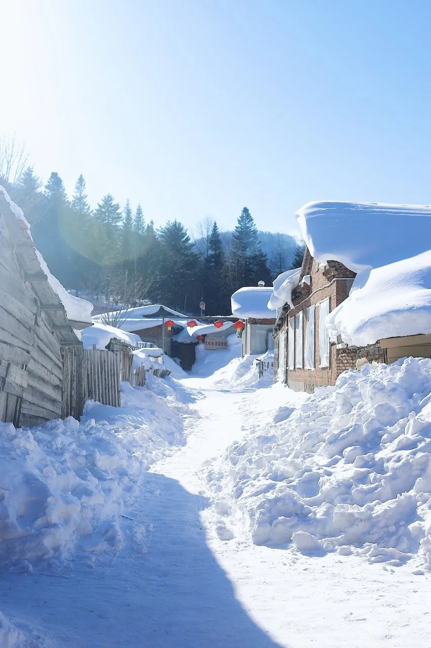 一到冬天东北就成了宇宙中心