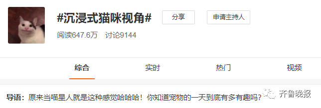 沉浸式的猫咪视角！山东农村有多绝？休闲区蓝鸢梦想 - Www.slyday.coM