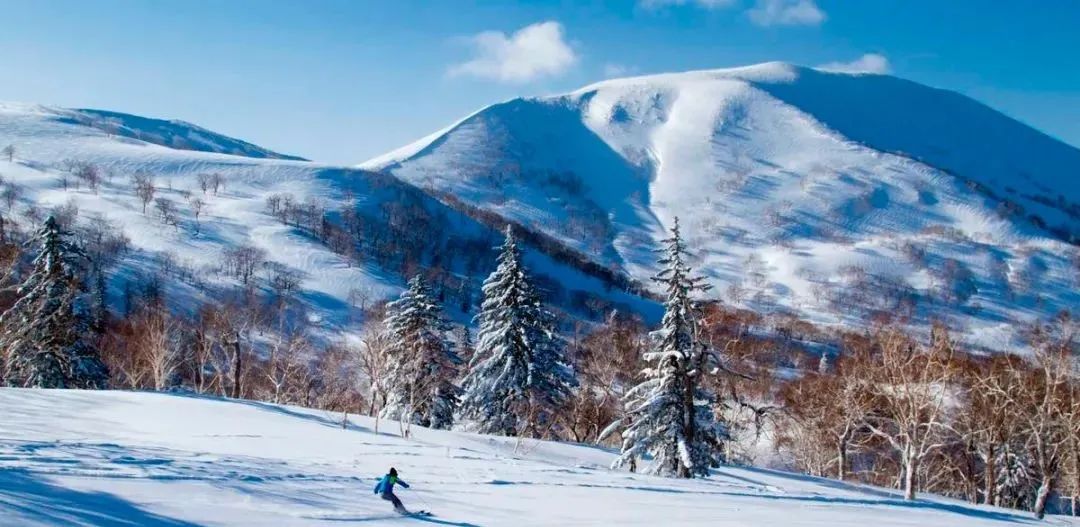 北海道冬季 资料图