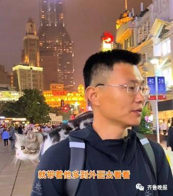 沉浸式的猫咪视角！山东农村有多绝？休闲区蓝鸢梦想 - Www.slyday.coM