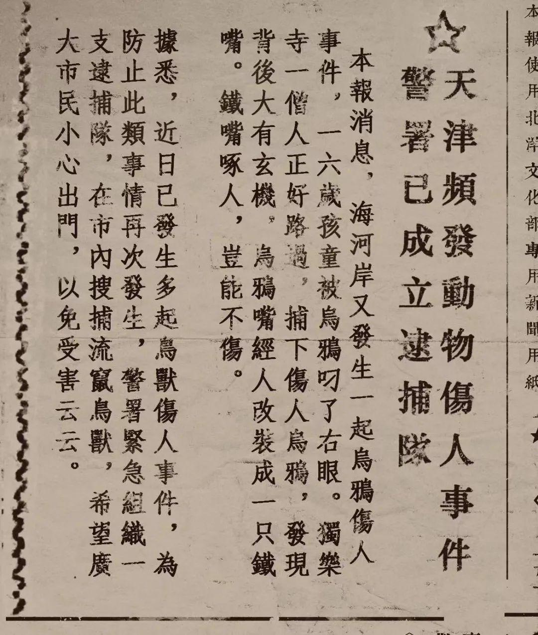 勇闯养鸡场有人在郊区工厂拿刀砍我还问我能不能救他一命天津十二奇案