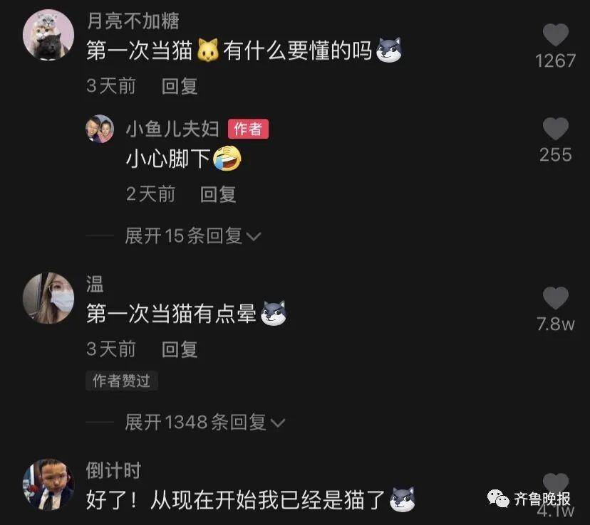 沉浸式的猫咪视角！山东农村有多绝？休闲区蓝鸢梦想 - Www.slyday.coM