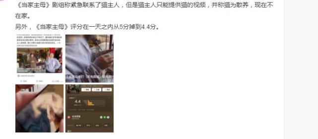 《当家主母》剧组虐猫事件最新进展!群演表示小猫是被电击致死的休闲区蓝鸢梦想 - Www.slyday.coM 《当家主母》剧组虐猫事件最新进展!群演表示小猫是被电击致死的休闲区蓝鸢梦想 - Www.slyday.coM