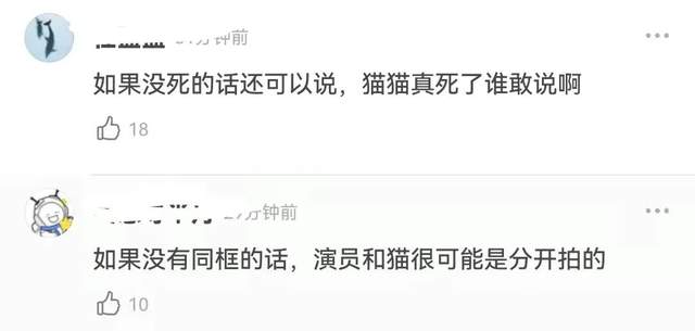 《当家》群演发声了！称猫被电死当天就埋了，同场演员删评不回应休闲区蓝鸢梦想 - Www.slyday.coM