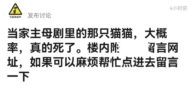 《当家》群演发声了！称猫被电死当天就埋了，同场演员删评不回应休闲区蓝鸢梦想 - Www.slyday.coM