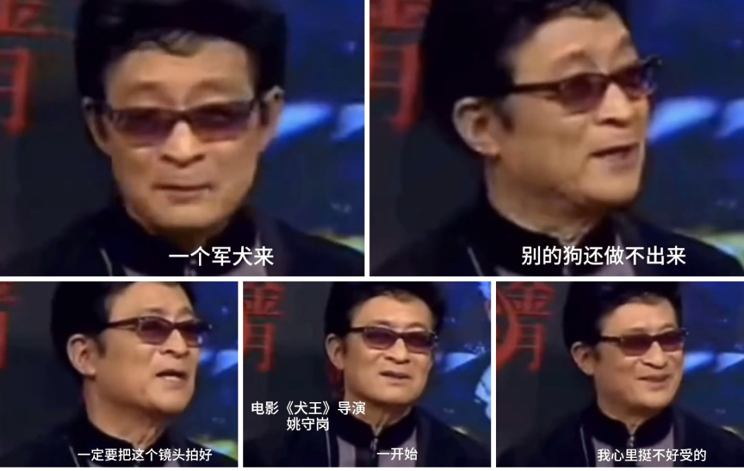 于正新剧《当家主母》被质疑虐猫，回应却频频翻车休闲区蓝鸢梦想 - Www.slyday.coM