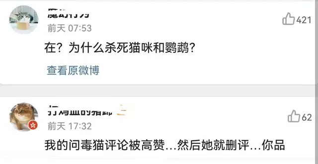 《当家》群演发声了！称猫被电死当天就埋了，同场演员删评不回应休闲区蓝鸢梦想 - Www.slyday.coM