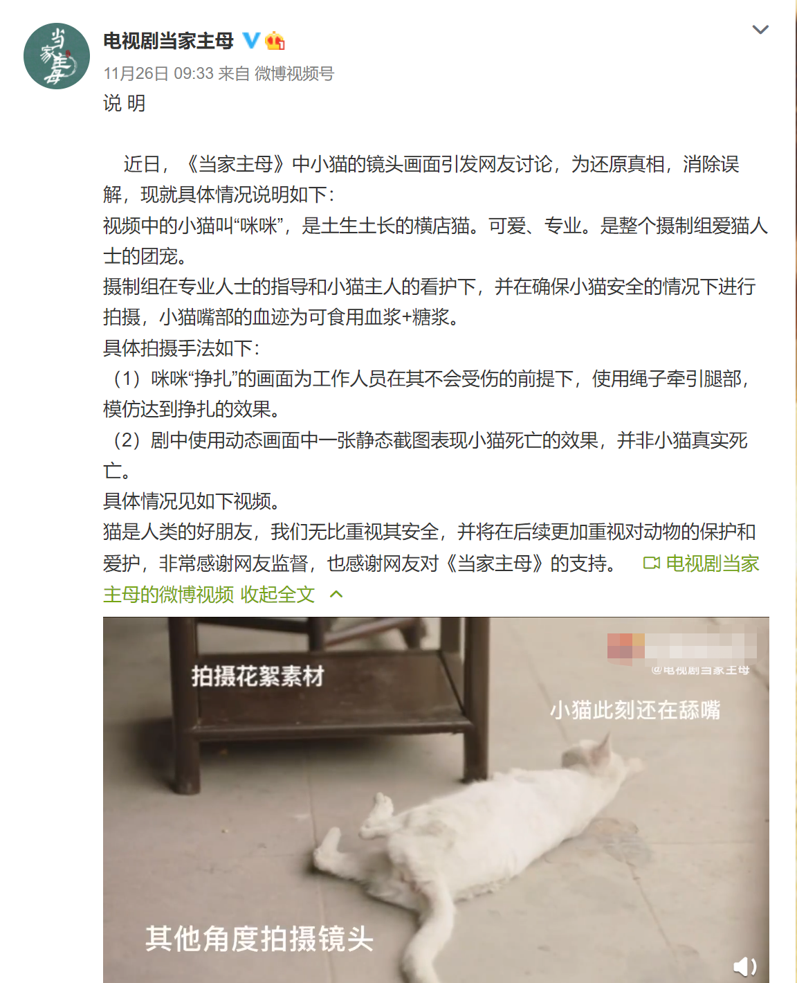 疑群演证实《当家主母》电死小猫,评分持续下跌,于正遭网友咒骂休闲区蓝鸢梦想 - Www.slyday.coM 疑群演证实《当家主母》电死小猫,评分持续下跌,于正遭网友咒骂休闲区蓝鸢梦想 - Www.slyday.coM
