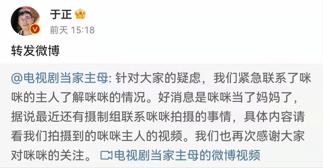 《当家》群演发声了！称猫被电死当天就埋了，同场演员删评不回应休闲区蓝鸢梦想 - Www.slyday.coM