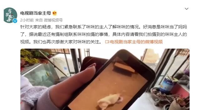 《当家主母》剧组虐猫事件最新进展!群演表示小猫是被电击致死的休闲区蓝鸢梦想 - Www.slyday.coM 《当家主母》剧组虐猫事件最新进展!群演表示小猫是被电击致死的休闲区蓝鸢梦想 - Www.slyday.coM