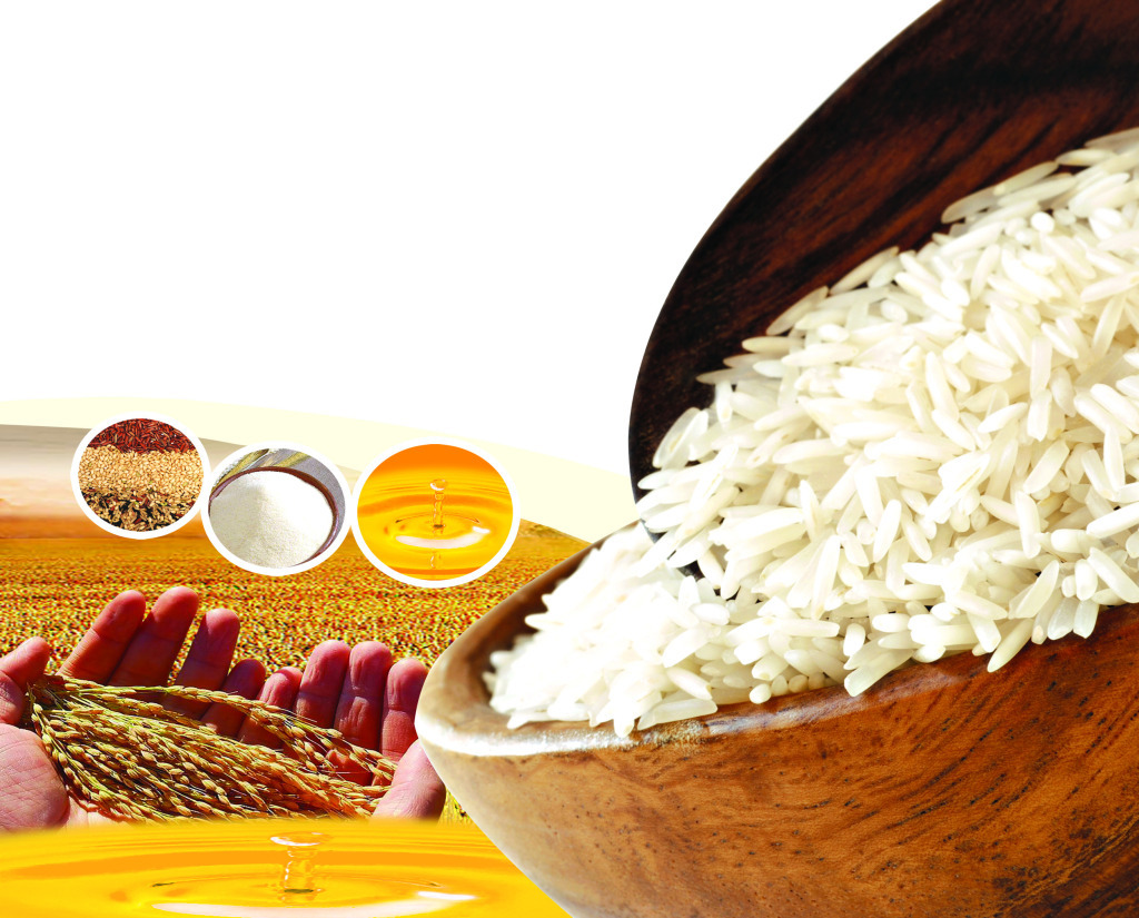 田坤道休闲区蓝鸢梦想 - Www.slyday.coM 田坤道休闲区蓝鸢梦想 - Www.slyday.coM