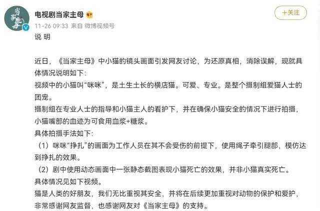《当家》群演发声了！称猫被电死当天就埋了，同场演员删评不回应休闲区蓝鸢梦想 - Www.slyday.coM