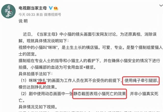 到底谁在撒谎?疑似《当家主母》群演爆料：那只猫早就死了休闲区蓝鸢梦想 - Www.slyday.coM
