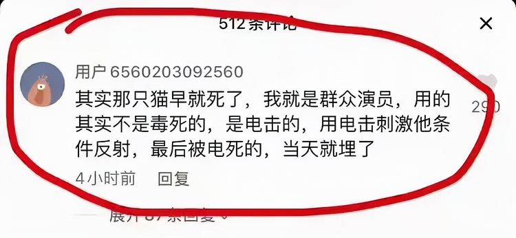 疑群演证实《当家主母》电死小猫,评分持续下跌,于正遭网友咒骂休闲区蓝鸢梦想 - Www.slyday.coM 疑群演证实《当家主母》电死小猫,评分持续下跌,于正遭网友咒骂休闲区蓝鸢梦想 - Www.slyday.coM