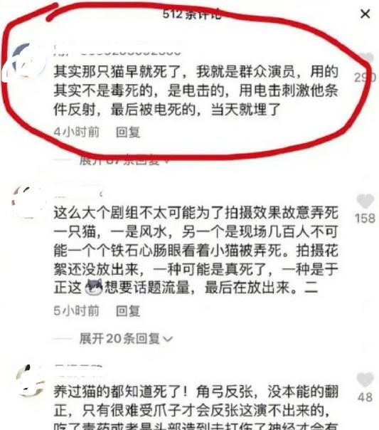 蒋勤勤回应了一个寂寞?《当家主母》群演爆料：猫当天就死了休闲区蓝鸢梦想 - Www.slyday.coM