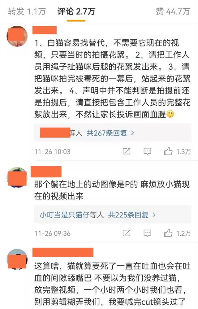 到底谁在撒谎?疑似《当家主母》群演爆料：那只猫早就死了休闲区蓝鸢梦想 - Www.slyday.coM