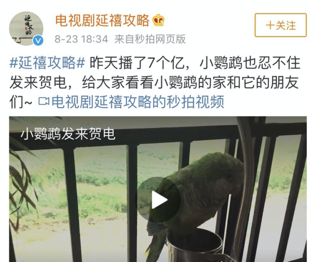 于正新剧《当家主母》被质疑虐猫，回应却频频翻车休闲区蓝鸢梦想 - Www.slyday.coM