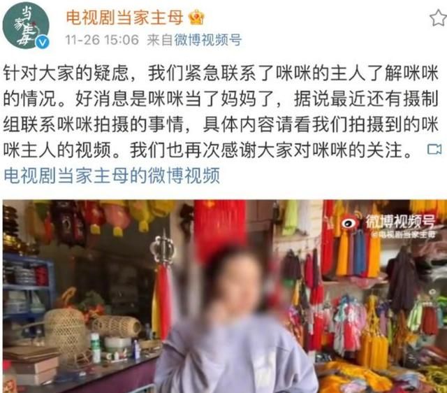 蒋勤勤回应了一个寂寞?《当家主母》群演爆料：猫当天就死了休闲区蓝鸢梦想 - Www.slyday.coM