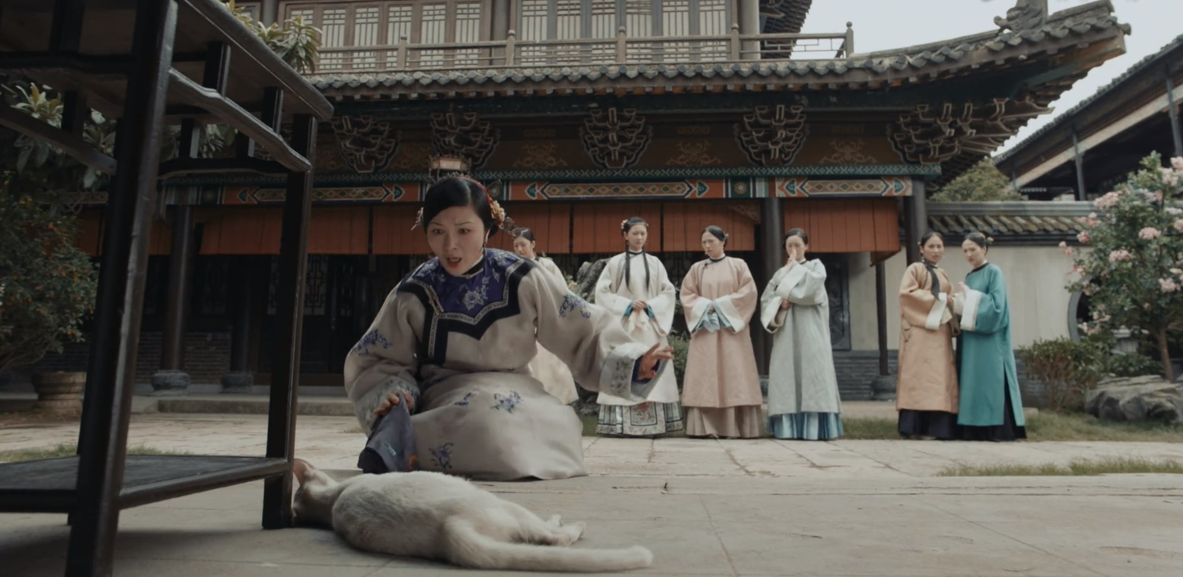 疑群演证实《当家主母》电死小猫,评分持续下跌,于正遭网友咒骂休闲区蓝鸢梦想 - Www.slyday.coM 疑群演证实《当家主母》电死小猫,评分持续下跌,于正遭网友咒骂休闲区蓝鸢梦想 - Www.slyday.coM