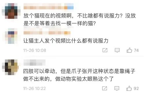 于正新剧《当家主母》被质疑虐猫，回应却频频翻车休闲区蓝鸢梦想 - Www.slyday.coM