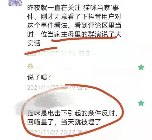 《当家》群演发声了！称猫被电死当天就埋了，同场演员删评不回应休闲区蓝鸢梦想 - Www.slyday.coM