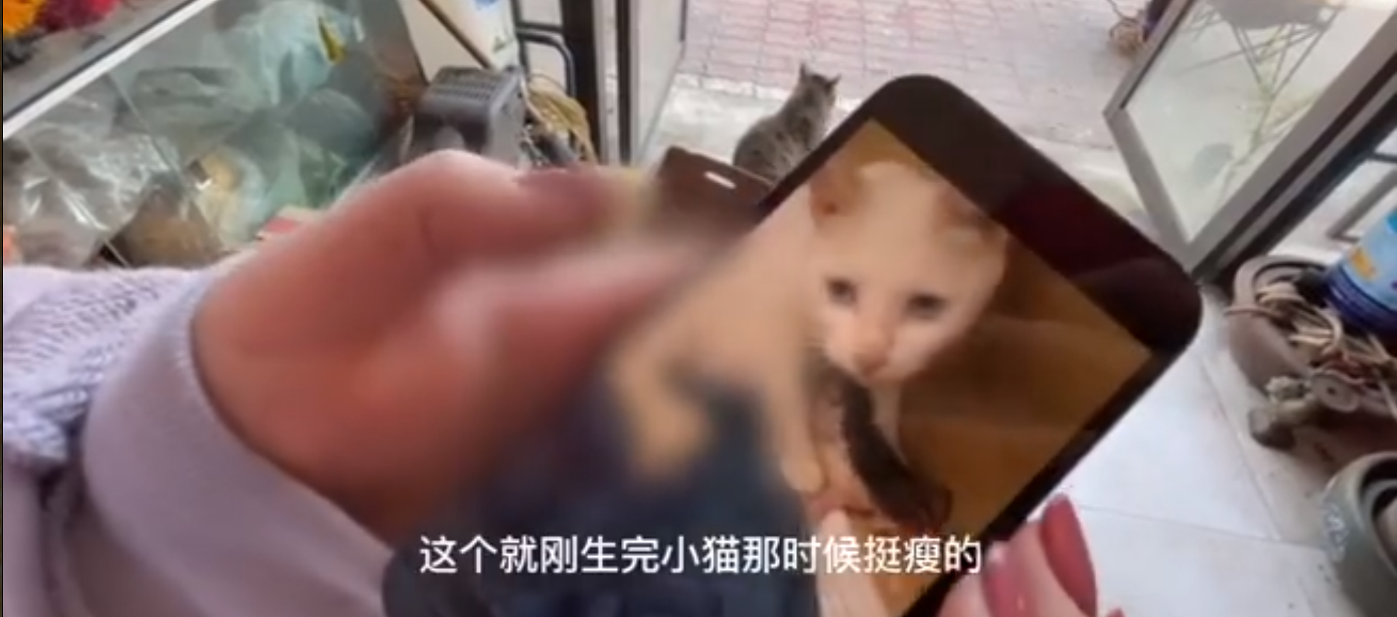 疑群演证实《当家主母》电死小猫,评分持续下跌,于正遭网友咒骂休闲区蓝鸢梦想 - Www.slyday.coM 疑群演证实《当家主母》电死小猫,评分持续下跌,于正遭网友咒骂休闲区蓝鸢梦想 - Www.slyday.coM