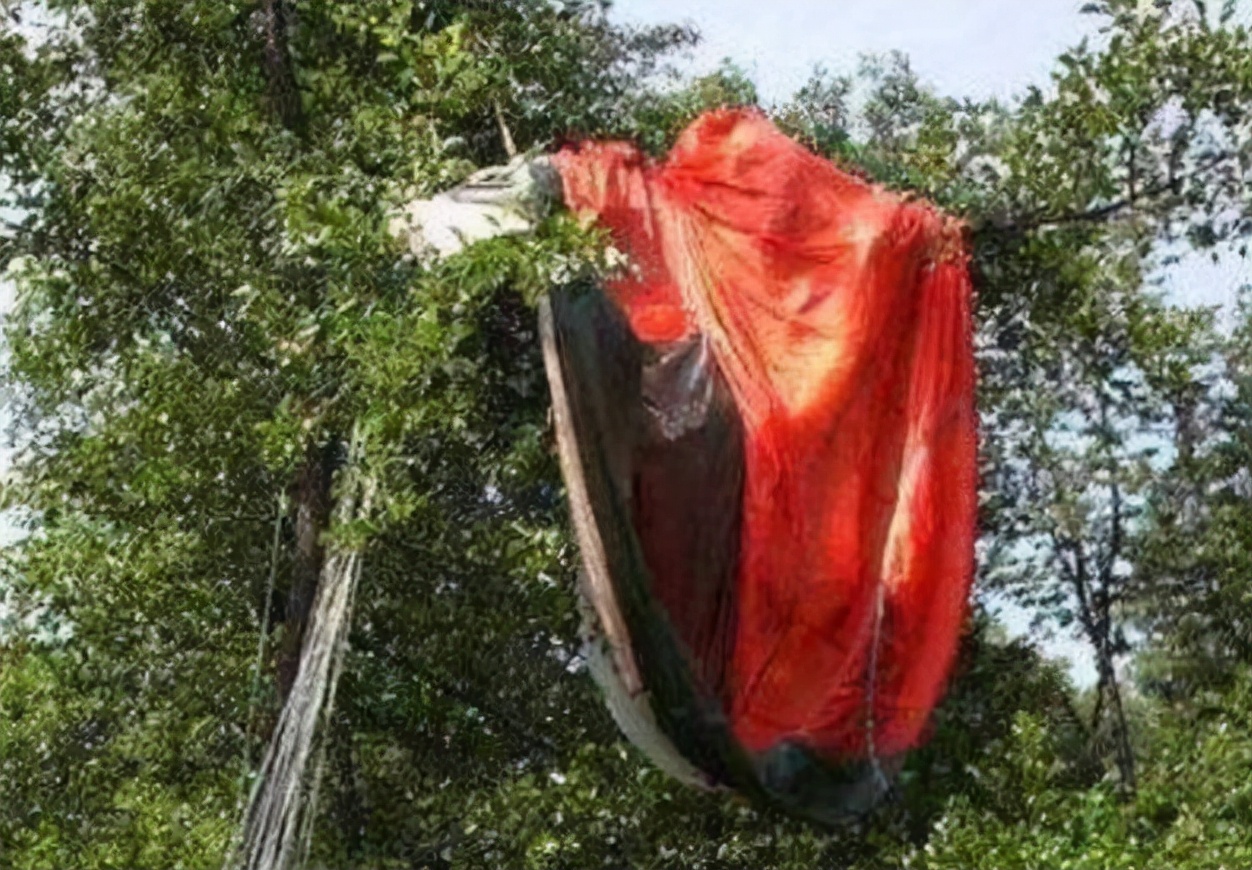 飞行员跳伞求生,在树上挂了70年后被发现,身体和树枝融为一体休闲区蓝鸢梦想 - Www.slyday.coM 飞行员跳伞求生,在树上挂了70年后被发现,身体和树枝融为一体休闲区蓝鸢梦想 - Www.slyday.coM