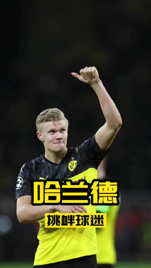 多特蒙德31沃尔夫斯堡哈兰德冲向对方看台庆祝