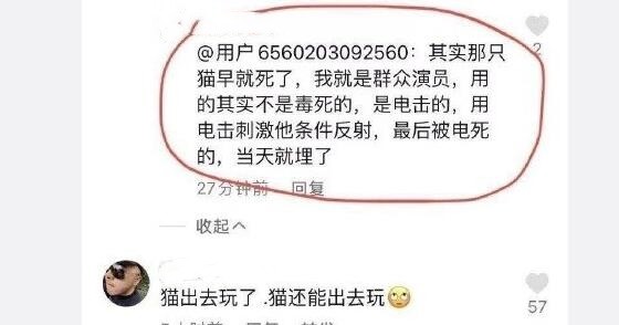 《当家主母》剧组虐猫事件最新进展!群演表示小猫是被电击致死的休闲区蓝鸢梦想 - Www.slyday.coM 《当家主母》剧组虐猫事件最新进展!群演表示小猫是被电击致死的休闲区蓝鸢梦想 - Www.slyday.coM